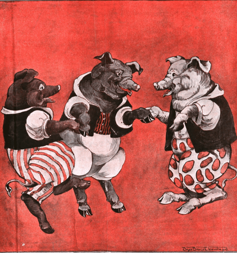 3 little pigs