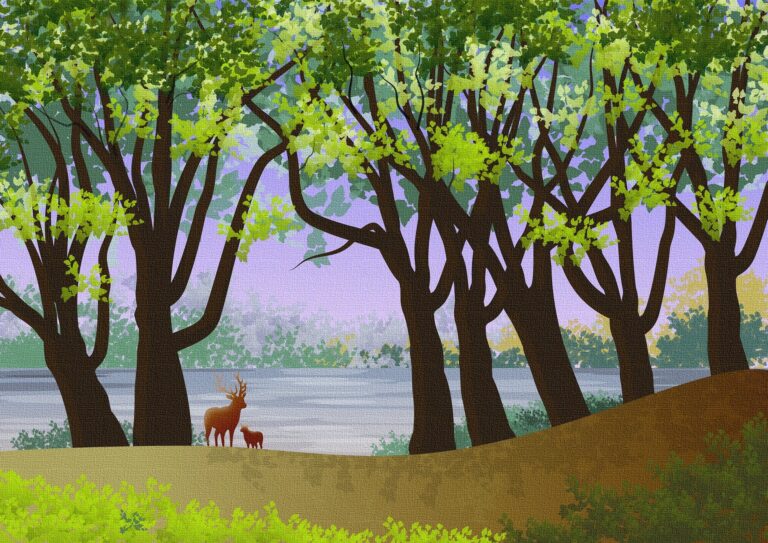 Woodland scene