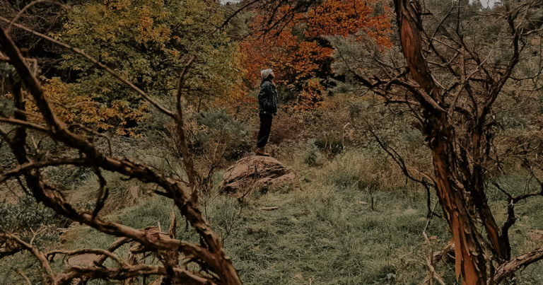 Artists Directory Website Feature Image (29)