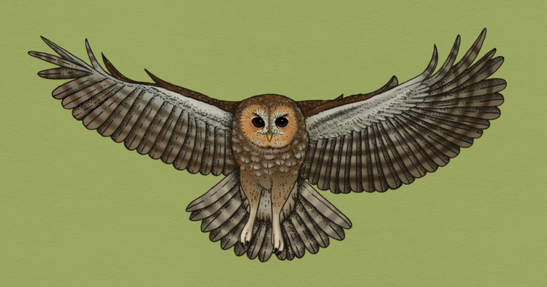 Brigita Naguleviciute